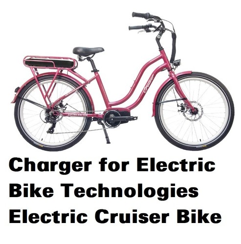 Battery charger for 48v - 🔥battery,